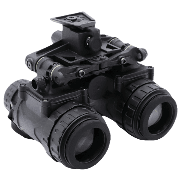 RNV 31 2