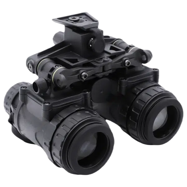 RNV 31 2